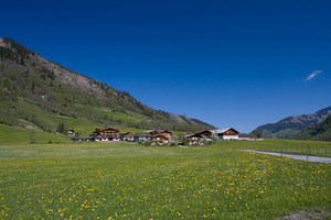 Landscape, Austria