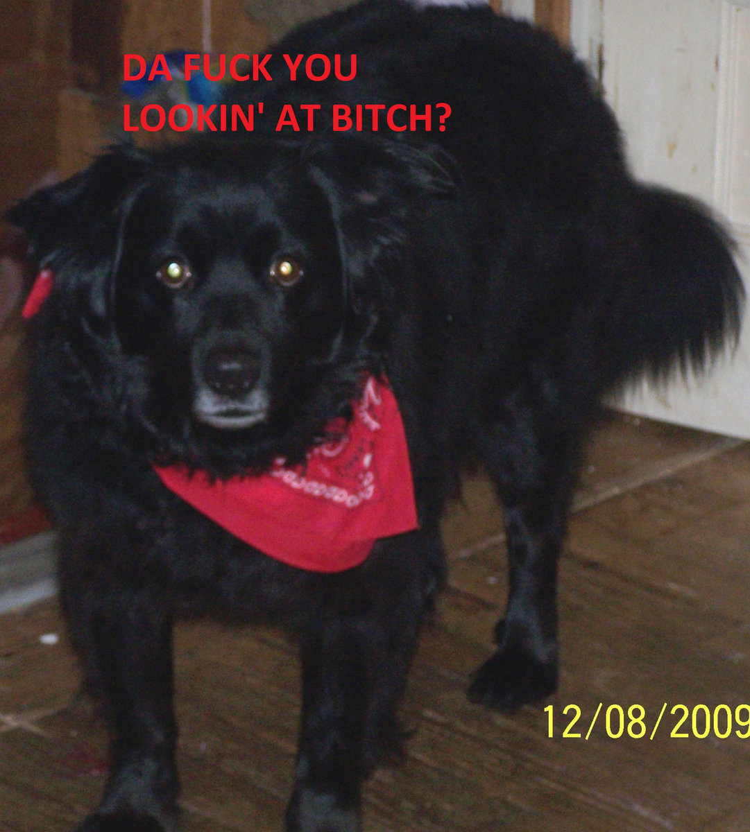 Lance