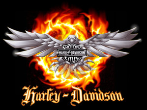 Harley Riders and Friends's avatar