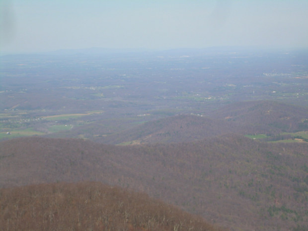 Picture 033