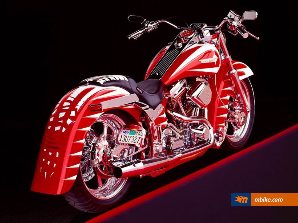 Harley-Davidson Custom 1995 motorcycle