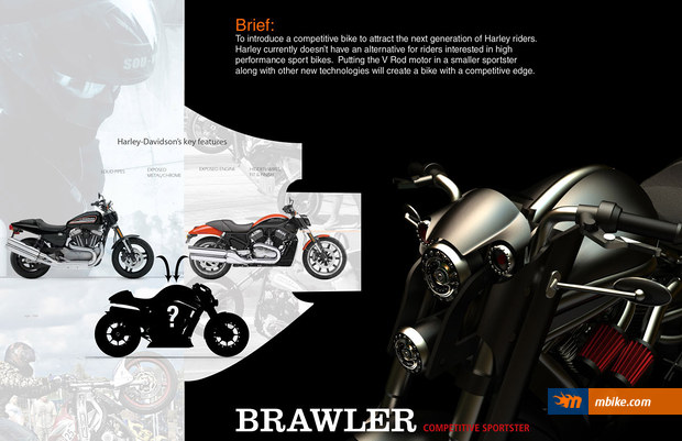 Brawler Concept 15