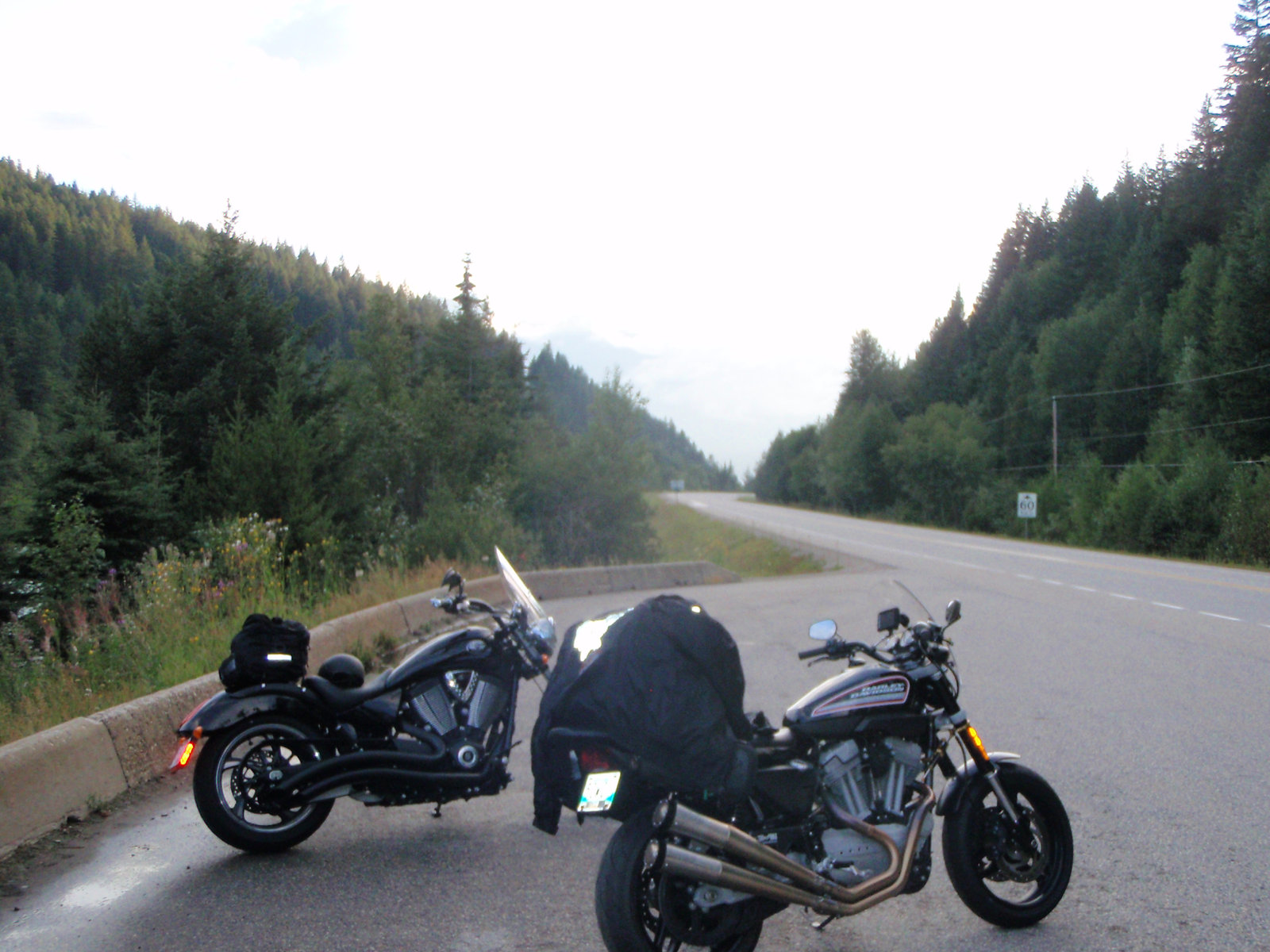 My XR1200 and cousin's Vic!