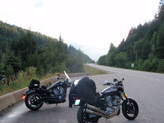 My XR1200 and cousin's Vic!