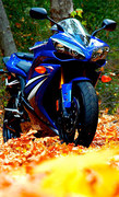 Yamaha in autumn