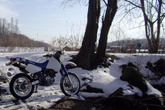 IMGP4687