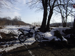 IMGP4687