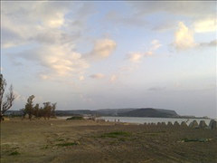 照片 051