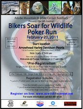 Bikers Soar For Wildlife flyer