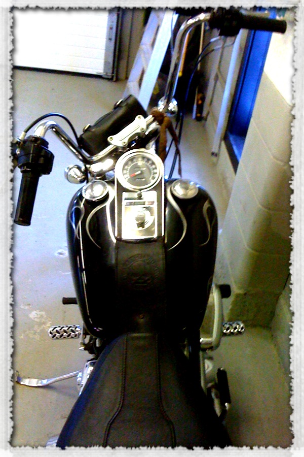 bike 079