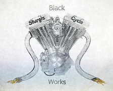 bscw3 logo