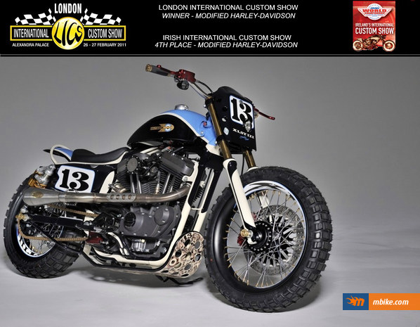 Shaw Custom Harley XLST3_10