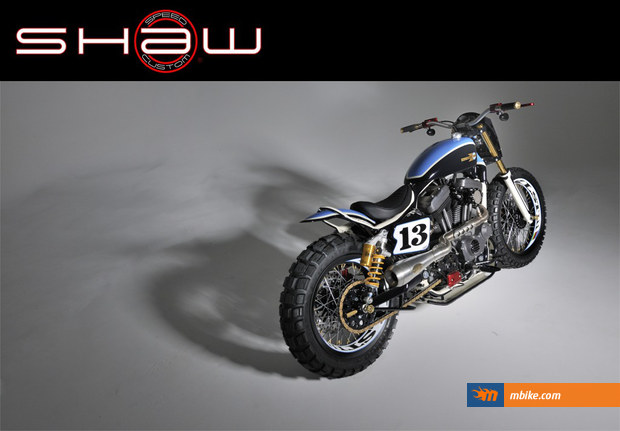 Shaw Custom Harley XLST3_1