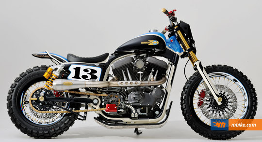 Shaw Custom Harley XLST3_3