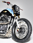 Shaw Custom Harley XLST3_4