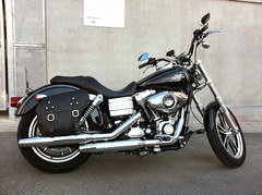 FXDL2