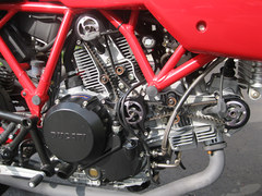 Duc finished 005