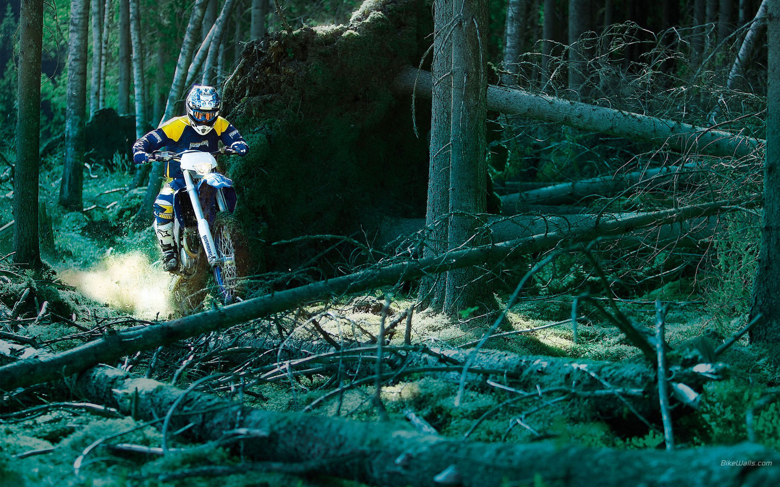 mc48_Motocross In Wood