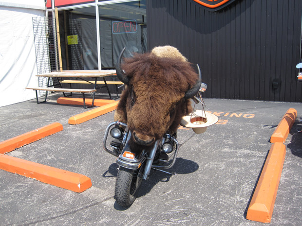 Sturgis 2014 018