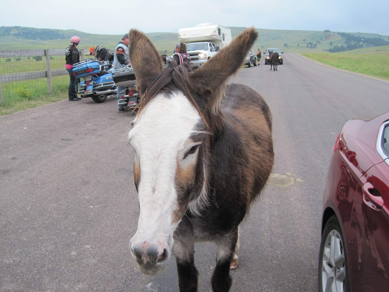 Sturgis 2014 031