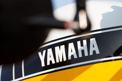 Yard Built Yamaha XV950 Dangan 14