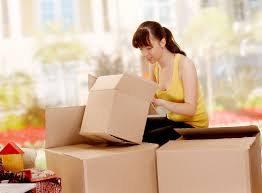 Robust transfer via skilled Packers and Movers Mumbai flyer